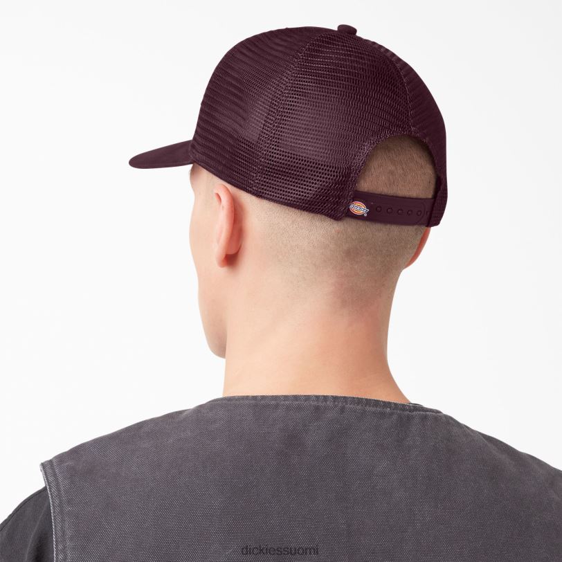 Dickies sukupuolineutraali patch logo trucker cap kastanjanruskea (herra) Lisätarvikkeet Z844X2909