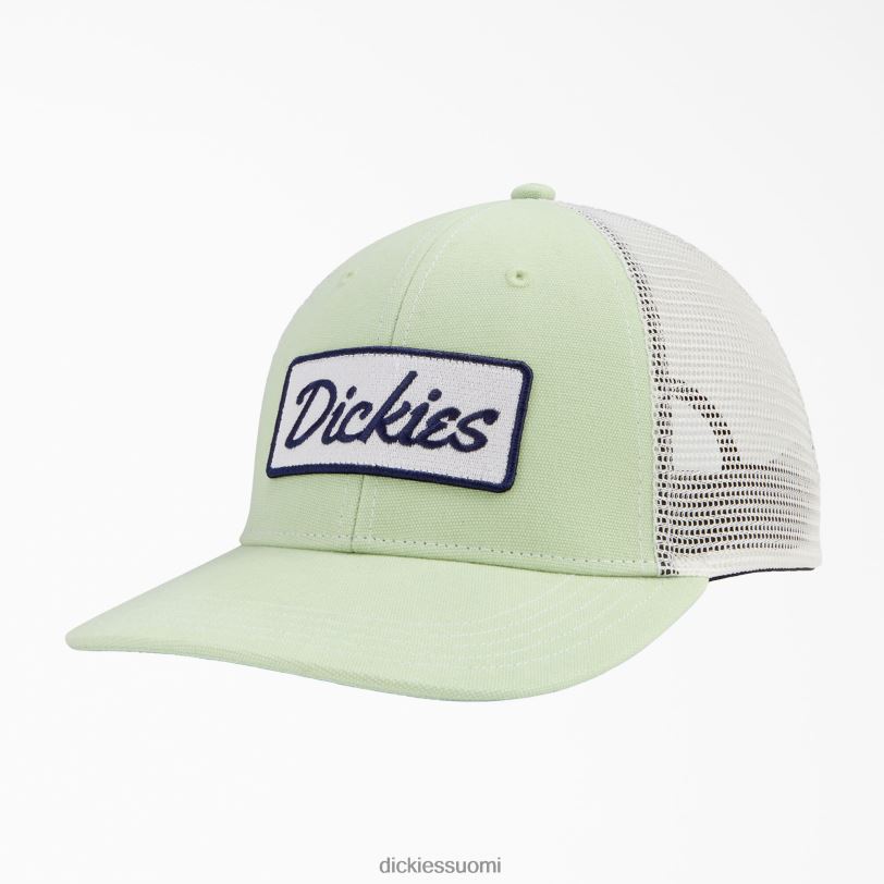 Dickies sukupuolineutraali patch logo trucker cap seladoninvihreä/pilvi (c2c) Lisätarvikkeet Z844X2904
