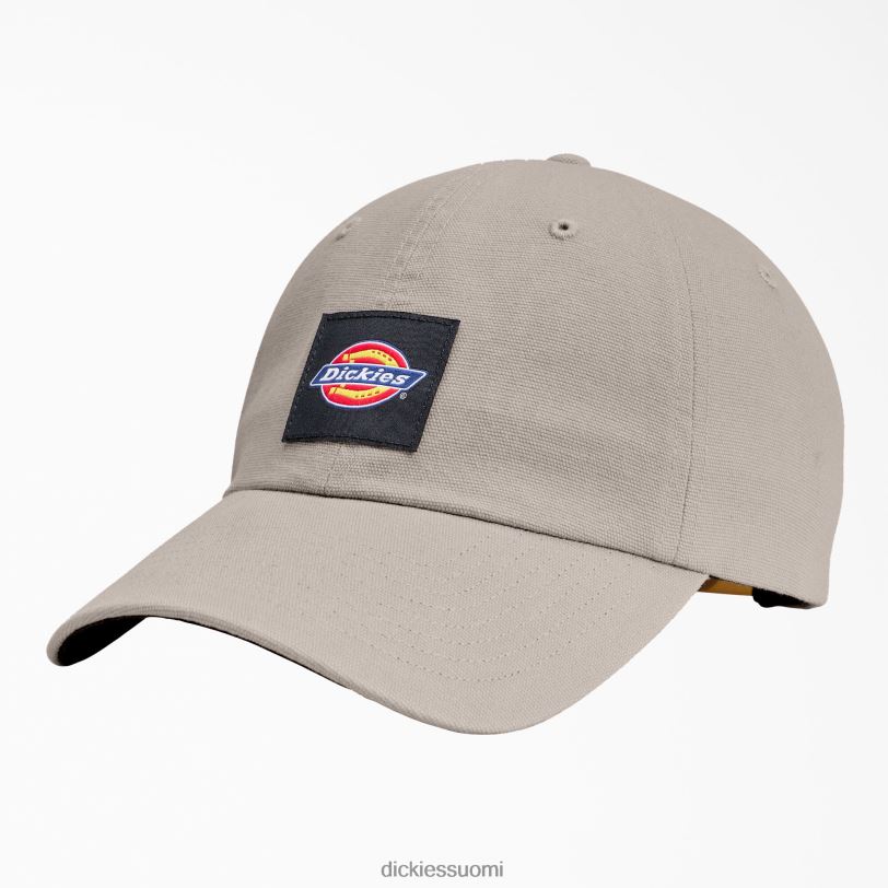 Dickies sukupuolineutraali pesty kangaslippis ilmakehä (t2m) Lisätarvikkeet Z844X2889