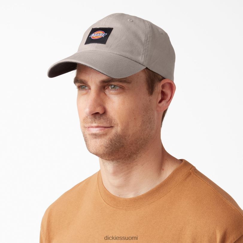 Dickies sukupuolineutraali pesty kangaslippis ilmakehä (t2m) Lisätarvikkeet Z844X2889