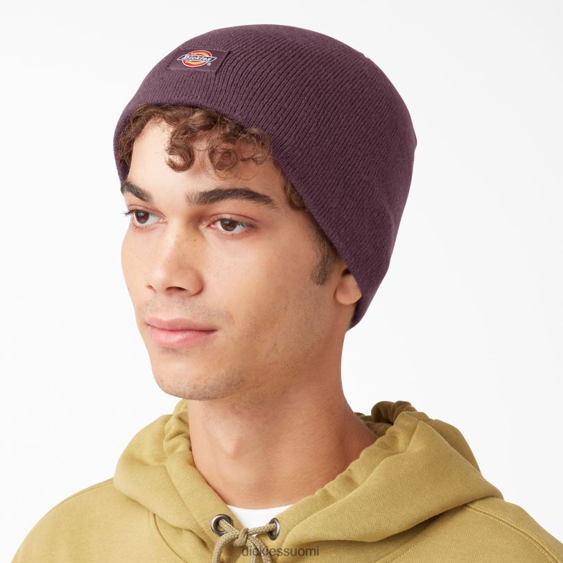 Dickies sukupuolineutraali kallo pipo kastanjanruskea (herra) Lisätarvikkeet Z844X2877