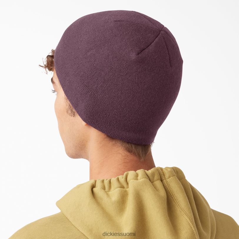 Dickies sukupuolineutraali kallo pipo kastanjanruskea (herra) Lisätarvikkeet Z844X2877