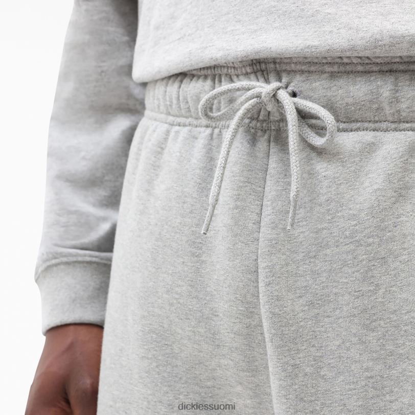 Dickies miehet Mapleton fleece -verkkarit säännöllinen vaatteet Z844X298