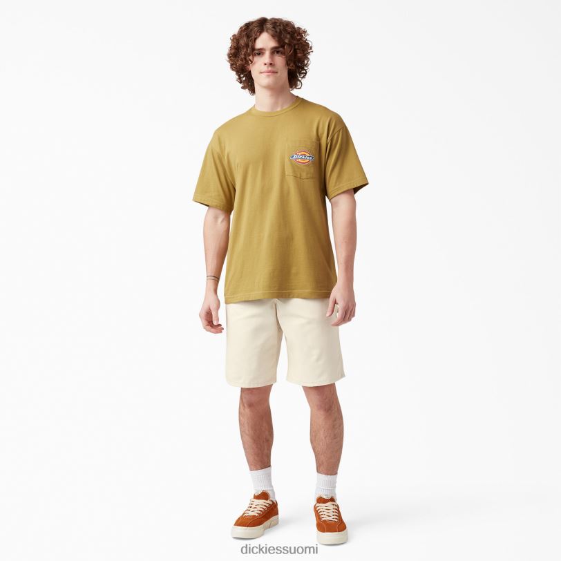 Dickies miehet maalari shortsit 11