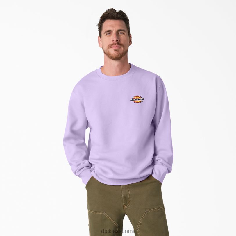 Dickies miehet Fleece brodeerattu rinnassa logollinen collegepaita säännöllinen vaatteet Z844X1134