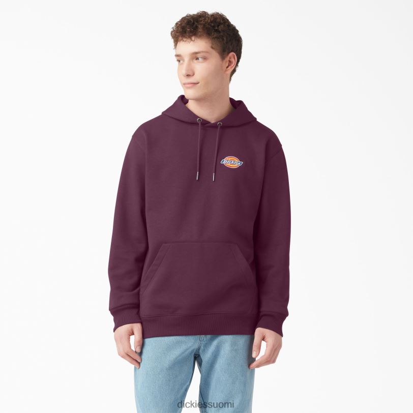 Dickies miehet Fleece brodeerattu rinnassa logollinen huppari säännöllinen vaatteet Z844X1207
