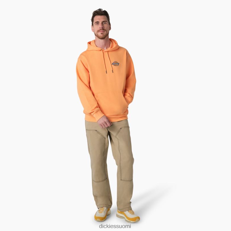 Dickies miehet Fleece brodeerattu rinnassa logollinen huppari säännöllinen vaatteet Z844X1210