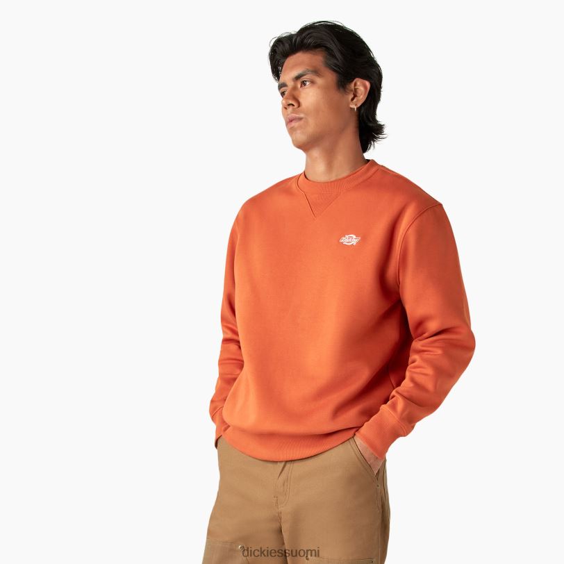 Dickies miehet summerdale collegepaita bombayn ruskea (b2b) vaatteet Z844X973