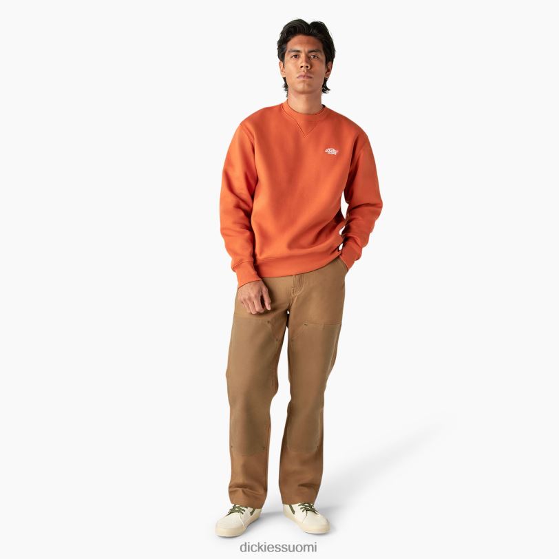 Dickies miehet summerdale collegepaita bombayn ruskea (b2b) vaatteet Z844X973