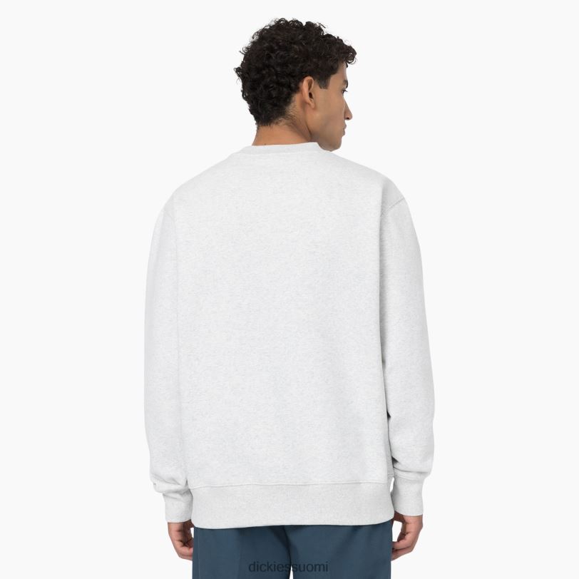 Dickies miehet summerdale collegepaita kanervan harmaa (hg) vaatteet Z844X974