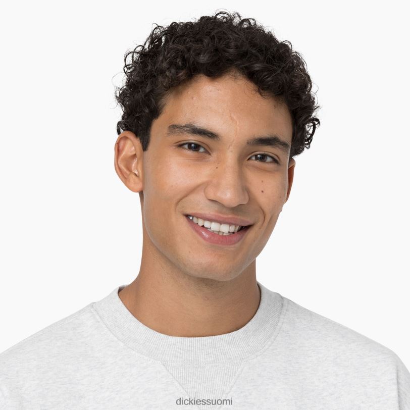 Dickies miehet summerdale collegepaita kanervan harmaa (hg) vaatteet Z844X974