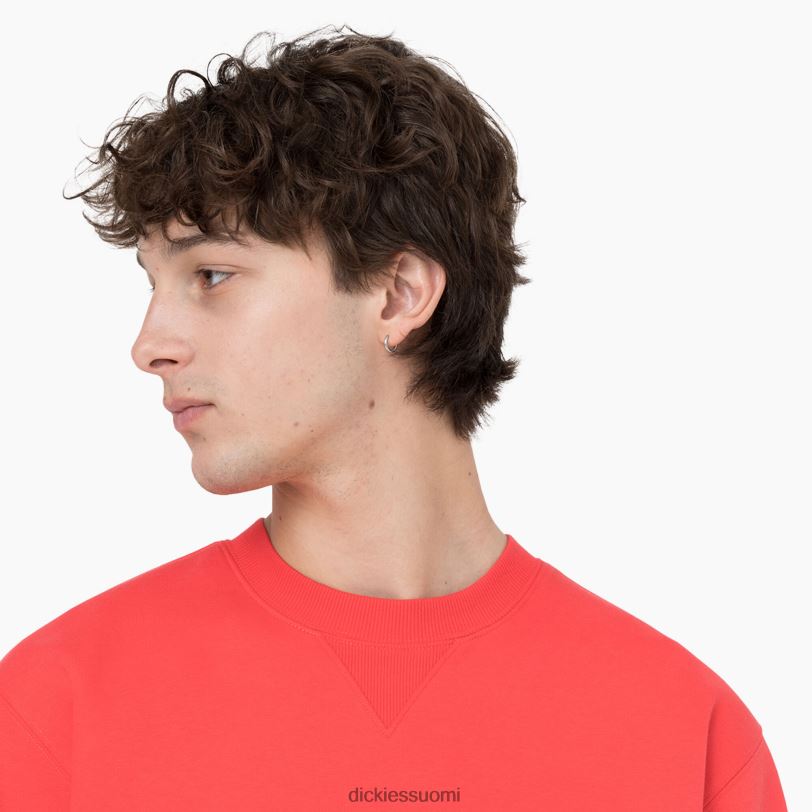 Dickies miehet summerdale collegepaita scarlet ibis (s2s) vaatteet Z844X976