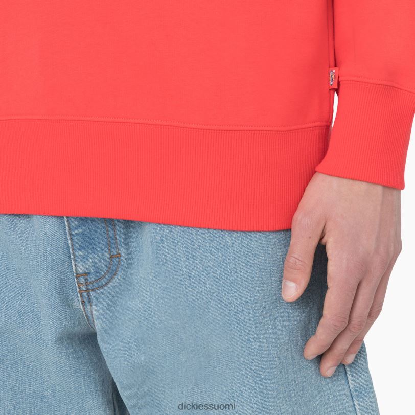 Dickies miehet summerdale collegepaita scarlet ibis (s2s) vaatteet Z844X976