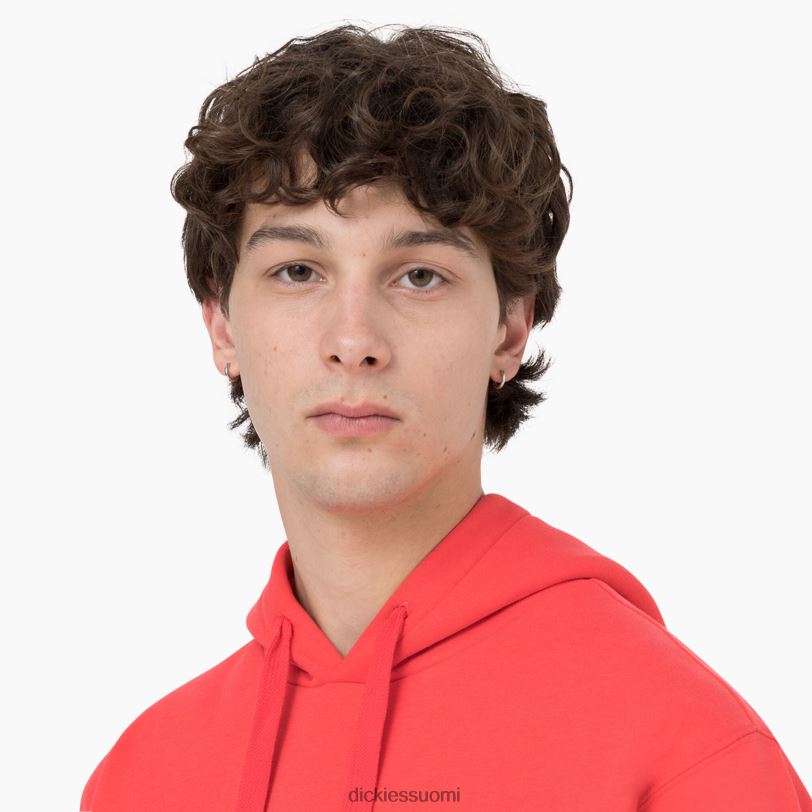 Dickies miehet summerdale huppari scarlet ibis (s2s) vaatteet Z844X1184