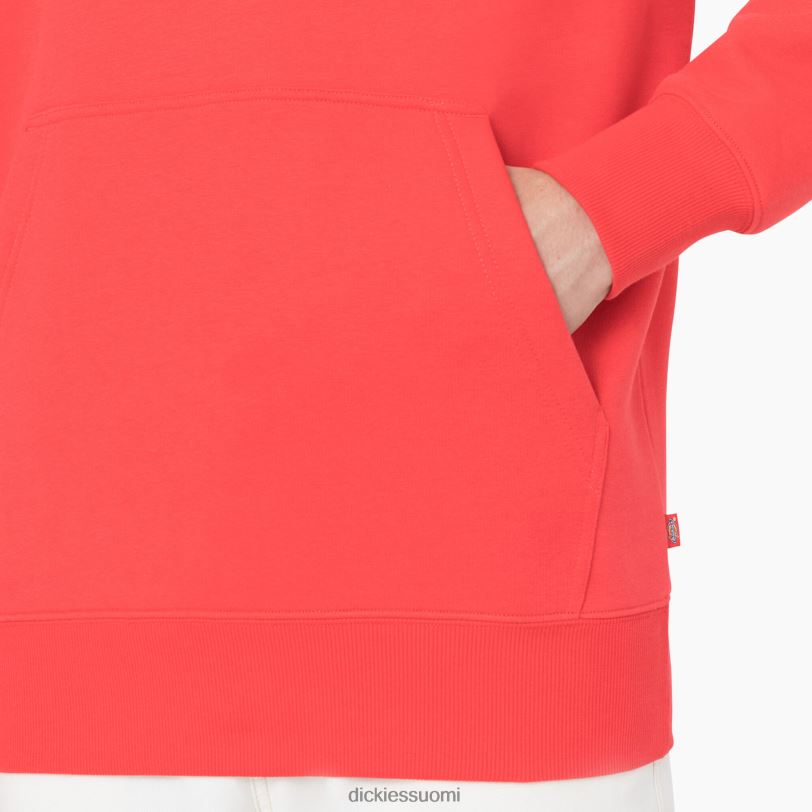 Dickies miehet summerdale huppari scarlet ibis (s2s) vaatteet Z844X1184