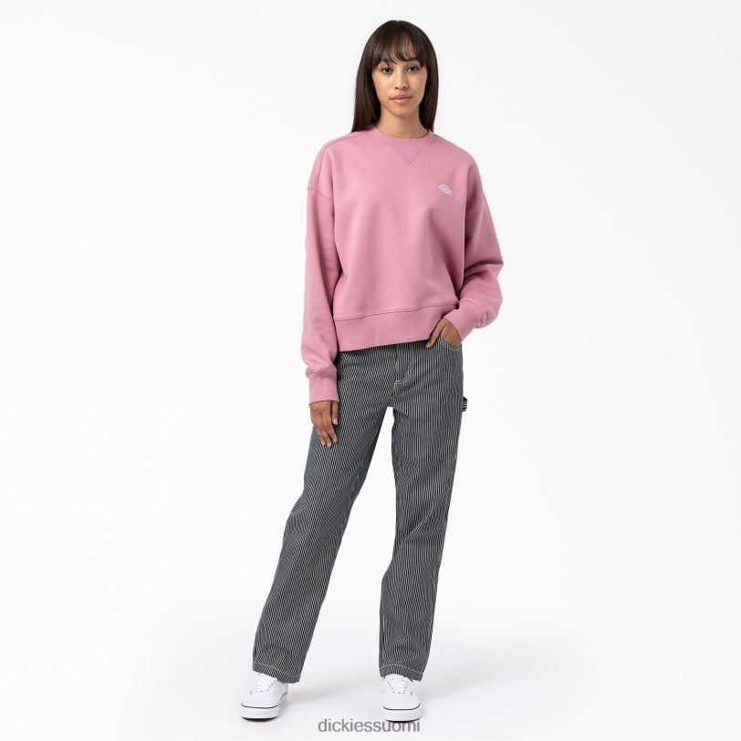 Dickies naiset summerdale collegepaita kettukäsine (f2g) vaatteet Z844X2292