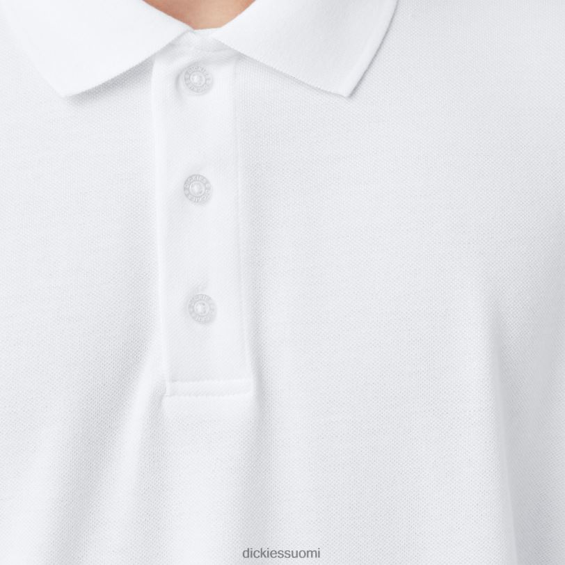 Dickies miehet aikuisten kokoinen pique lyhythihainen poolo valkoinen (wh) vaatteet Z844X667