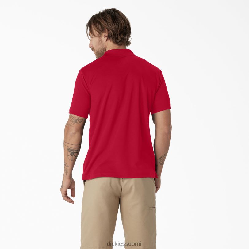 Dickies miehet lyhythihainen suorituskykyinen poolopaita omenanpunainen (lr) vaatteet Z844X672