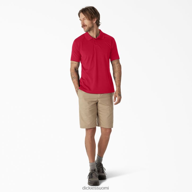 Dickies miehet lyhythihainen suorituskykyinen poolopaita omenanpunainen (lr) vaatteet Z844X672