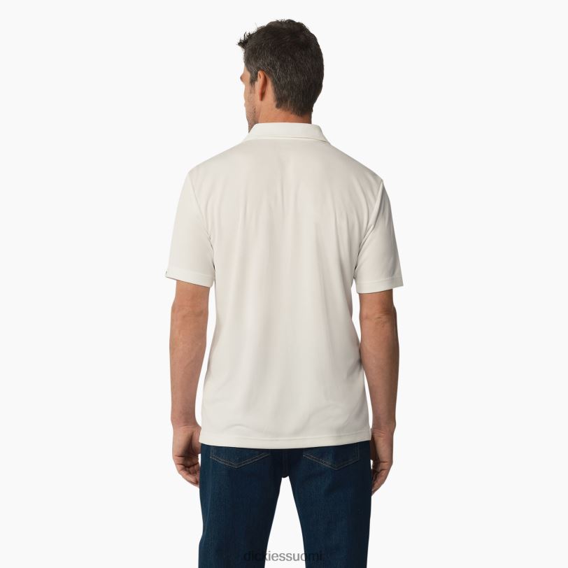 Dickies miehet lyhythihainen suorituskykyinen poolopaita valkoinen (wh) vaatteet Z844X673