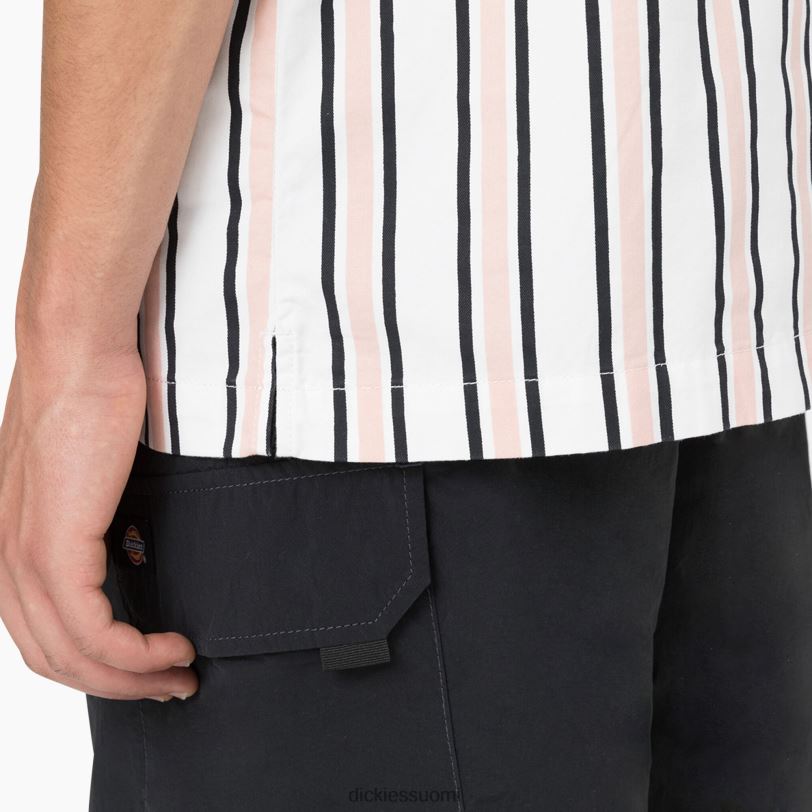 Dickies miehet rullalautailua viilentävä rento istuvuuspaita valkoinen/lootus/musta raita (wus) vaatteet Z844X826