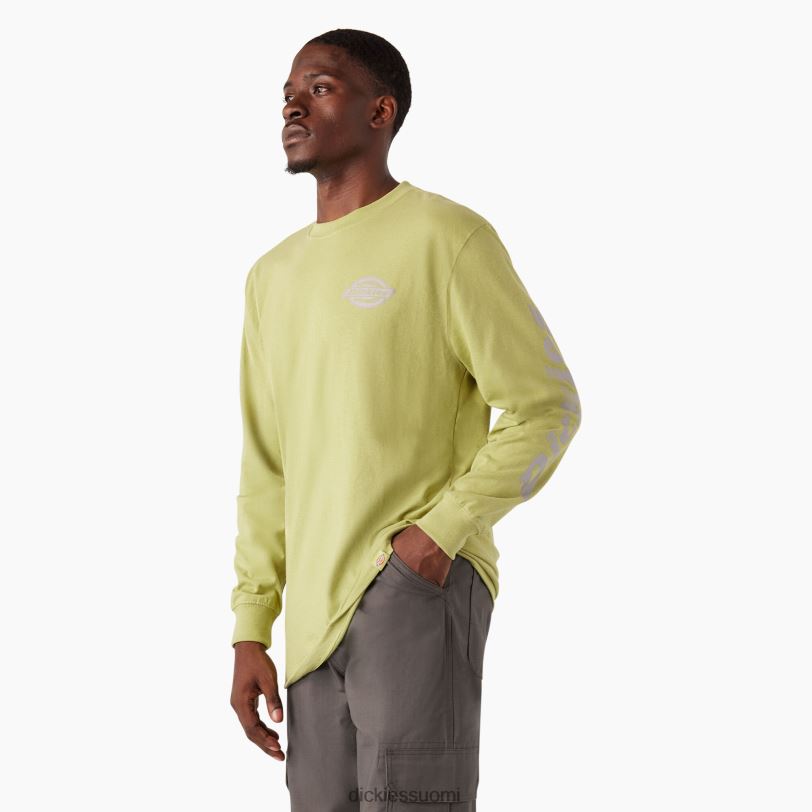 Dickies miehet pitkähihainen raskas logo-t-paita saniainen kanerva (f2h) vaatteet Z844X869