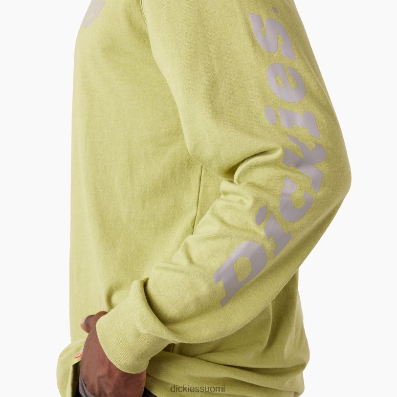 Dickies miehet pitkähihainen raskas logo-t-paita saniainen kanerva (f2h) vaatteet Z844X869