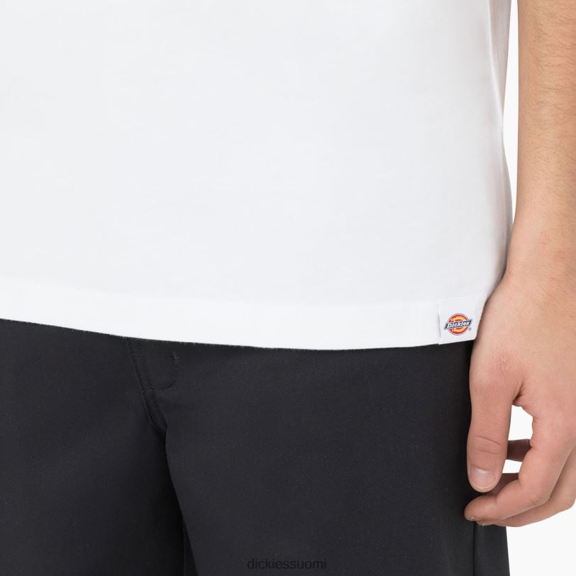 Dickies miehet Bayside Gardens lyhythihainen t-paita valkoinen (wh) vaatteet Z844X586