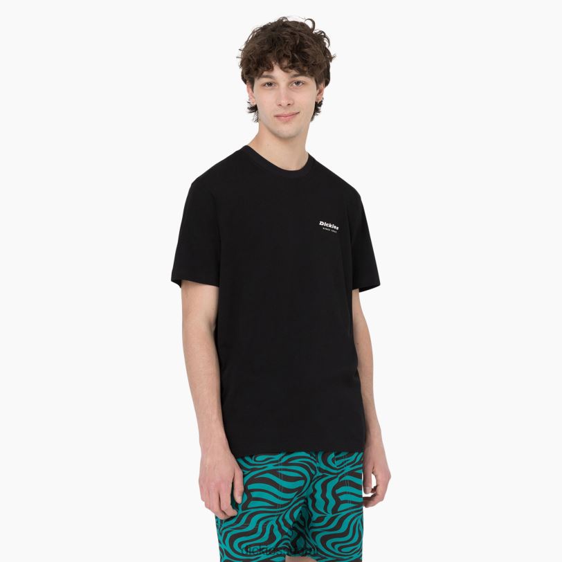 Dickies miehet Leesburg lyhythihainen t-paita musta (bkx) vaatteet Z844X876