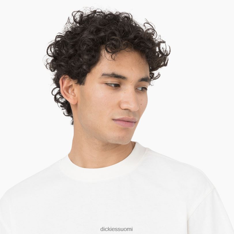 Dickies miehet Oatfield lyhythihainen t-paita pilvi (cl9) vaatteet Z844X755