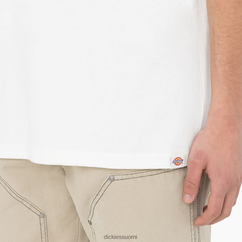 Dickies miehet Oatfield lyhythihainen t-paita pilvi (cl9) vaatteet Z844X755