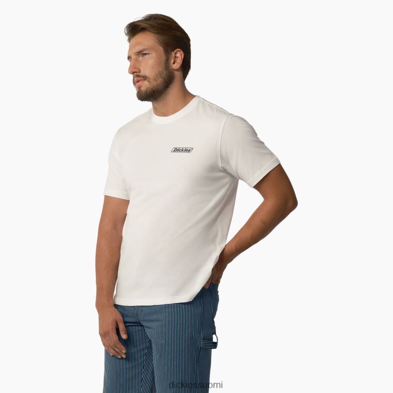 Dickies miehet Roseburg lyhythihainen t-paita valkoinen (wh) vaatteet Z844X584