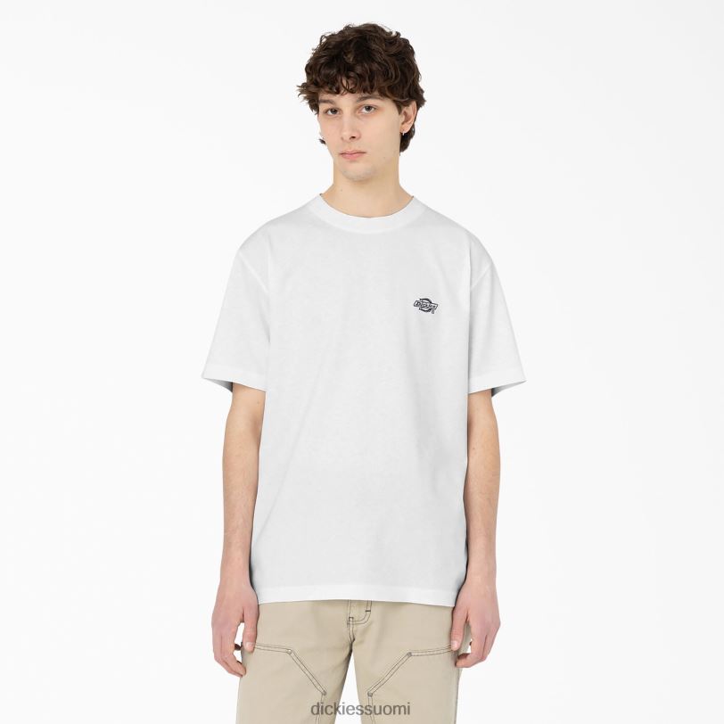 Dickies miehet Summerdale lyhythihainen t-paita valkoinen (wh) vaatteet Z844X583