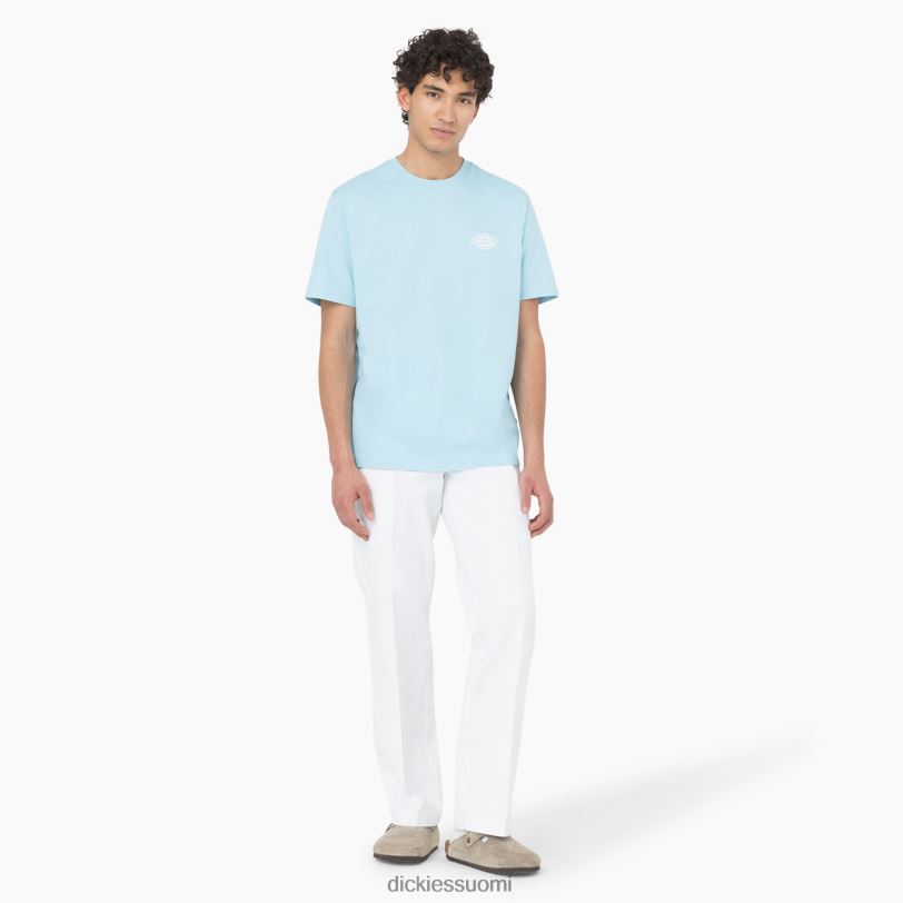 Dickies miehet Takana logograafinen t-paita taivaansininen (su9) vaatteet Z844X751