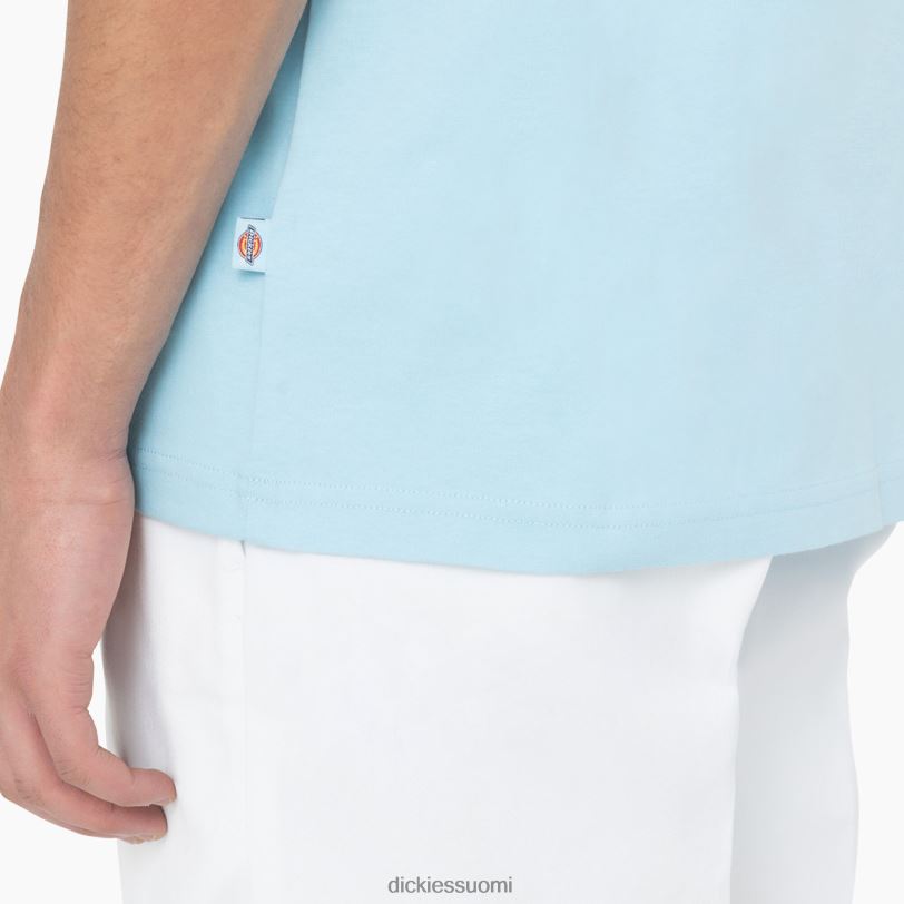 Dickies miehet Takana logograafinen t-paita taivaansininen (su9) vaatteet Z844X751