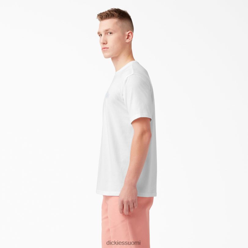 Dickies miehet Takana logograafinen t-paita valkoinen (wh) vaatteet Z844X752