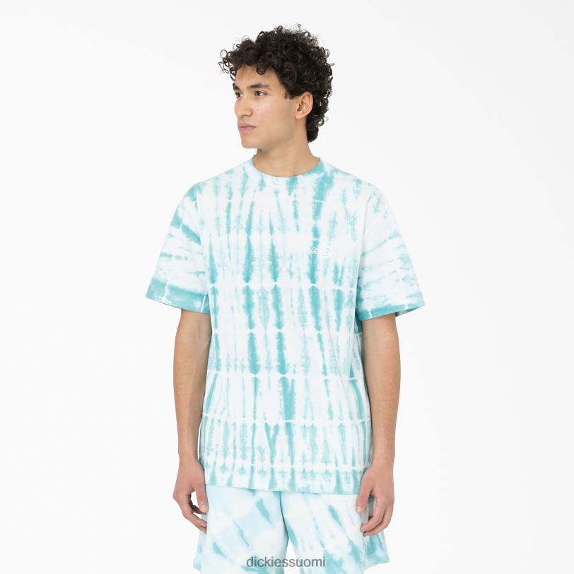 Dickies miehet Westfir lyhythihainen t-paita taivaansininen (su9) vaatteet Z844X590