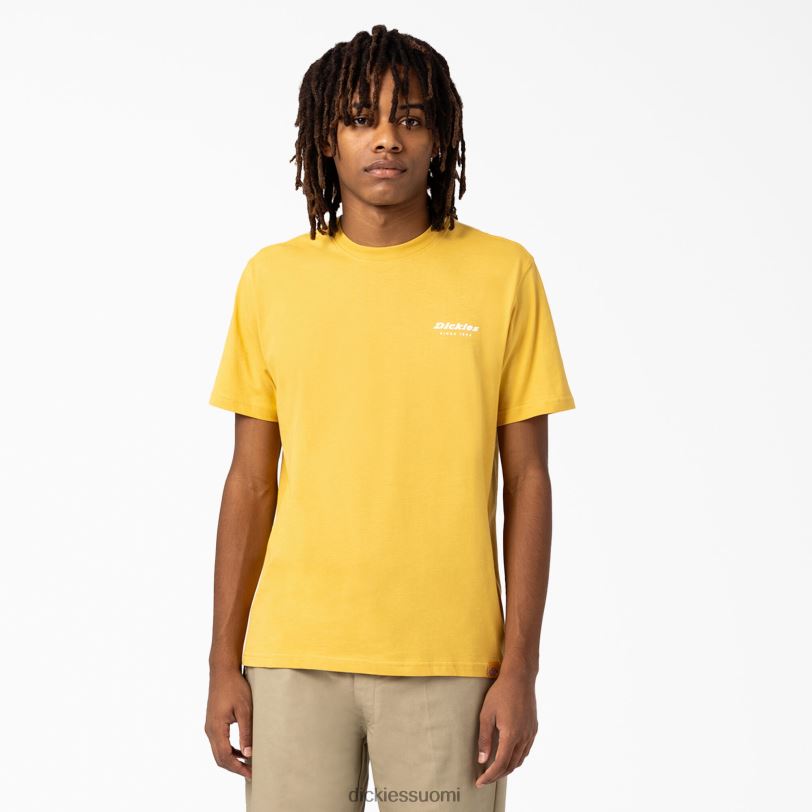 Dickies miehet camden box graafinen t-paita kerätä kultaa (gv) vaatteet Z844X887