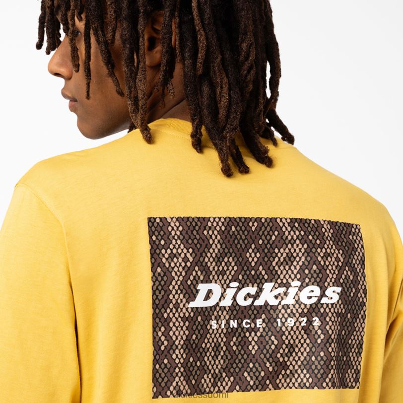 Dickies miehet camden box graafinen t-paita kerätä kultaa (gv) vaatteet Z844X887