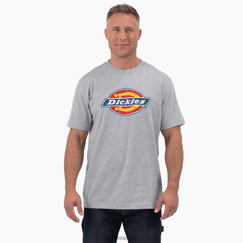 Dickies miehet lyhythihainen kolmivärinen logograafinen t-paita kanervan harmaa (hg) vaatteet Z844X711