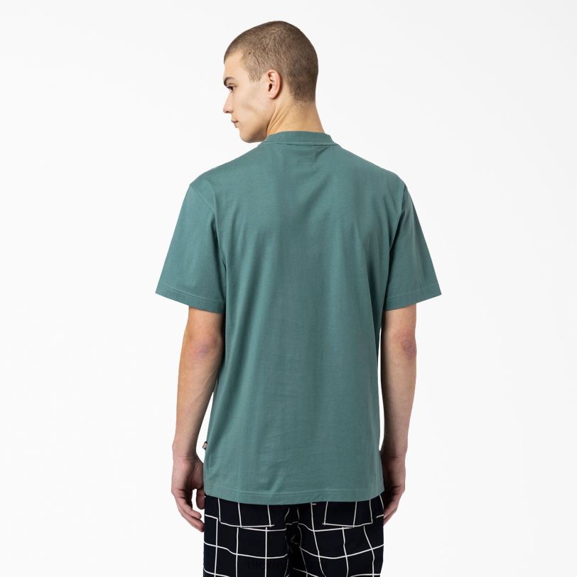 Dickies miehet rullalautailu mount vista t-paita lincoln green (ln) vaatteet Z844X930
