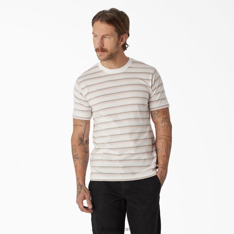 Dickies miehet rullalautailuraidallinen t-paita lootuksen vaaleanpunainen/valkoinen raita (tse) vaatteet Z844X773