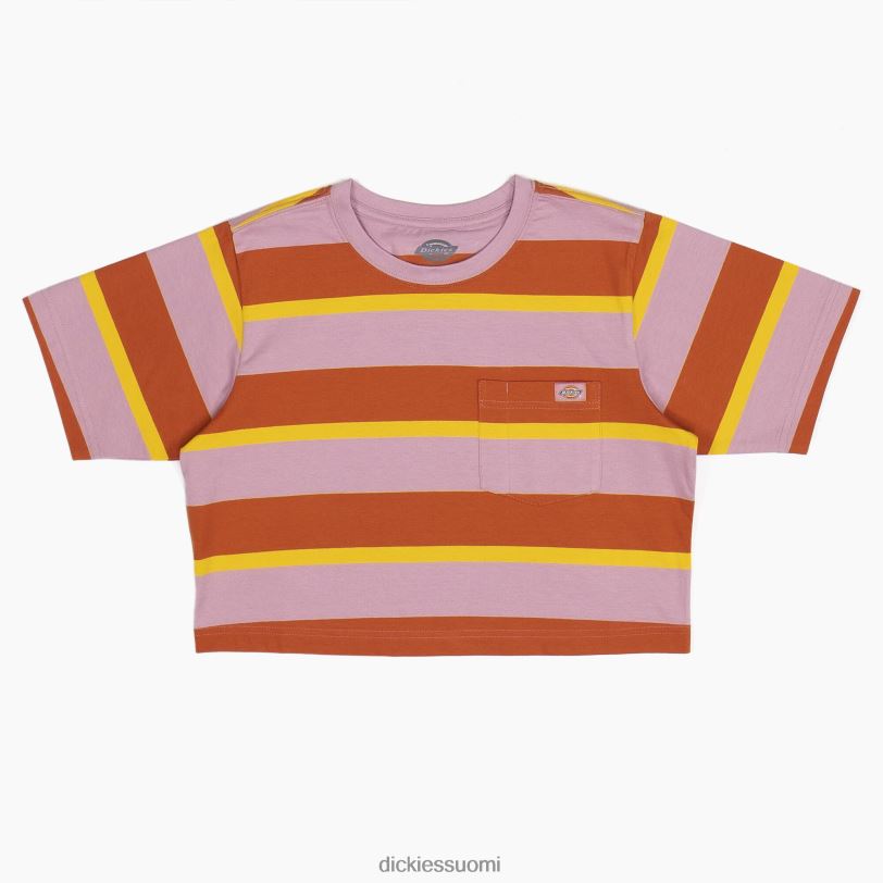 Dickies naiset raidallinen rajattu t-paita inkivääriketun kollegiaalinen raita (xsr) vaatteet Z844X2017