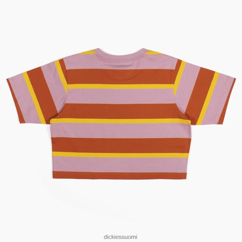 Dickies naiset raidallinen rajattu t-paita inkivääriketun kollegiaalinen raita (xsr) vaatteet Z844X2017