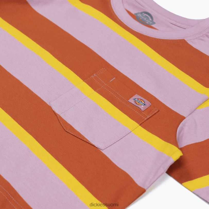 Dickies naiset raidallinen rajattu t-paita inkivääriketun kollegiaalinen raita (xsr) vaatteet Z844X2017