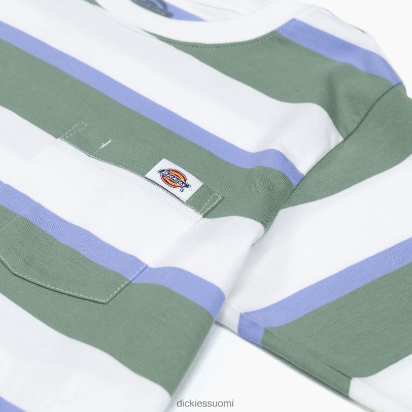 Dickies naiset raidallinen rajattu t-paita valkoinen/vihreä kollegiaalinen raita (wse) vaatteet Z844X2015