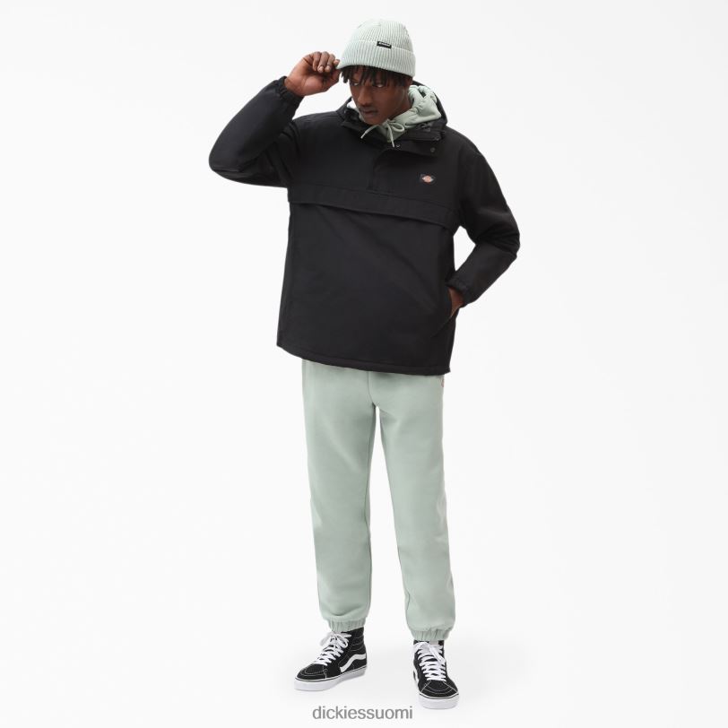 Dickies miehet glacier view anorak villapaita säännöllinen vaatteet Z844X1160